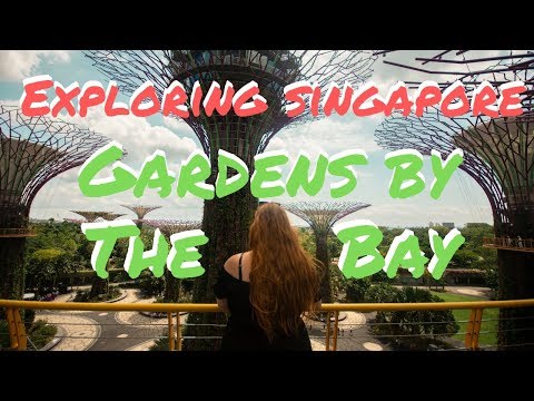 Exploring Gardens By The Bay, Singapore | Day 2