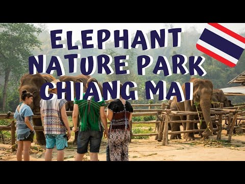 A Day At The Karen Elephant Project With Elephant Nature Park In Chiang Mai