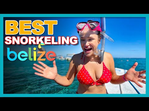 Best Snorkeling Tour |Caye Caulker Belize 2022 | Caveman Tours