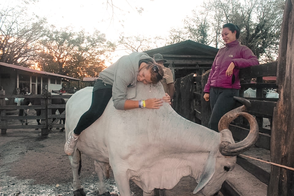 Exploring Ricon De La Vieja, Costa Rica 13 Exploring Ricon De La Vieja In Costa Rica | Travel Central America | Guanacaste | Hike | Hiking | Volcano | Rainforest | Backpacking Costa Rica | Mud bath | What to do | Where to sleep | Horse riding | Tubing | Backpackers Wanderlust |