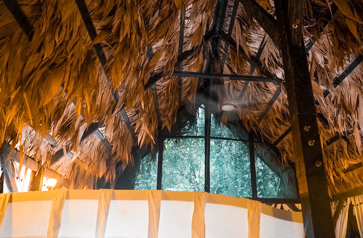 Manzanillo and Puerto Viejo, Costa Rica 5 Exploring Manzanillo and Puerto Viejo In Costa Rica | Travel Central America | Caribbean | Hike | Hiking | Ocean | Rainforest | Backpacking Costa Rica | Beautiful beaches | What to do | Where to sleep | wildlife | party | Backpackers Wanderlust |