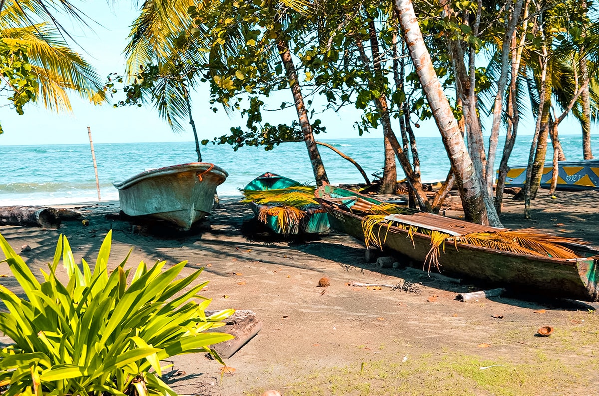 Manzanillo and Puerto Viejo, Costa Rica 10 Exploring Manzanillo and Puerto Viejo In Costa Rica | Travel Central America | Caribbean | Hike | Hiking | Ocean | Rainforest | Backpacking Costa Rica | Beautiful beaches | What to do | Where to sleep | wildlife | party | Backpackers Wanderlust |