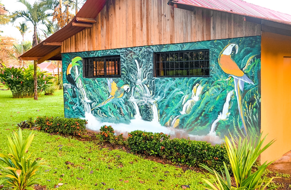 La Fortuna, Costa Rica 3 Exploring La Fortuna In Costa Rica | Travel Central America | La Fortuna | Zip line Costa Rica | Zip lining | Volcano | Rainforest | Backpacking Costa Rica | Hot pools | What to do | Where to sleep | Backpackers Wanderlust |