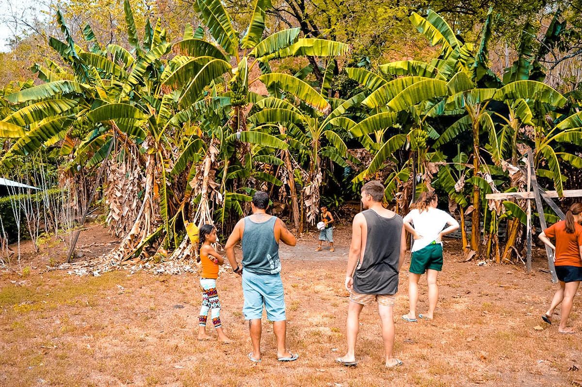 First Week Volunteering Completed- Ostional, Costa Rica 6 Ostional, Costa Rica | Volunteer work | Conservation | Animals | Turtles | Costa Rica | Guanacaste | Ostional | International Student Volunteers | ISV | Why should I pay | Volunteer Abroad | What to do | Backpacking | Budget Travel | Solo Female Travel | Backpackers Wanderlust |