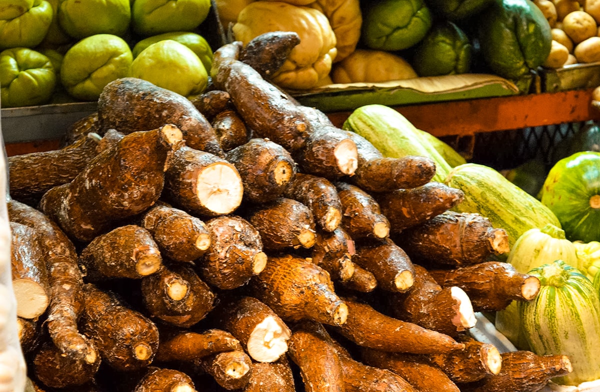 Studing in Heredia, Costa Rica | Travel Central America | Learn Spanish | Hike | Hiking | Intercultura | Rainforest | Backpacking Costa Rica | San Jose | What to do | Where to sleep | Heredia | studying abroad | Backpackers Wanderlust |