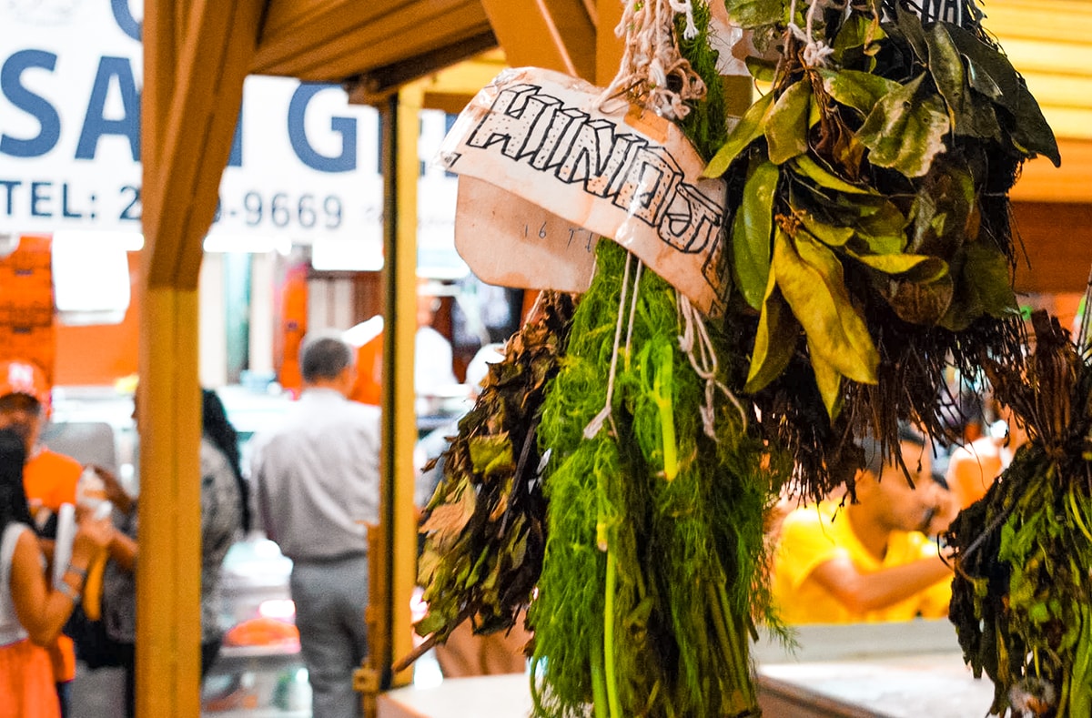 Studing in Heredia, Costa Rica | Travel Central America | Learn Spanish | Hike | Hiking | Intercultura | Rainforest | Backpacking Costa Rica | San Jose | What to do | Where to sleep | Heredia | studying abroad | Backpackers Wanderlust |