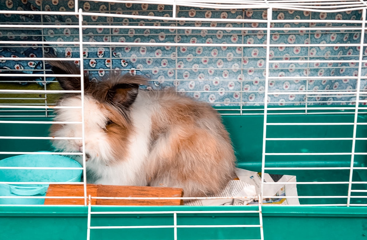 Studing in Heredia, Costa Rica | Travel Central America | Learn Spanish | Hike | Hiking | Intercultura | Rainforest | Backpacking Costa Rica | San Jose | What to do | Where to sleep | Heredia | studying abroad | Backpackers Wanderlust |