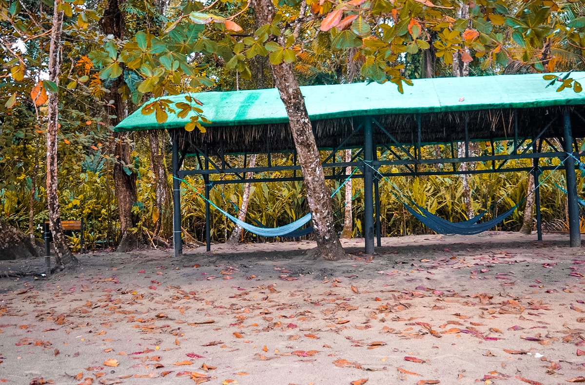 Manzanillo and Puerto Viejo, Costa Rica 17 Exploring Manzanillo and Puerto Viejo In Costa Rica | Travel Central America | Caribbean | Hike | Hiking | Ocean | Rainforest | Backpacking Costa Rica | Beautiful beaches | What to do | Where to sleep | wildlife | party | Backpackers Wanderlust |