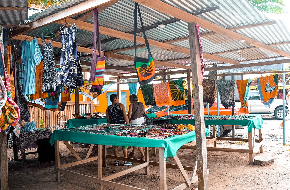 Manzanillo and Puerto Viejo, Costa Rica 11 Exploring Manzanillo and Puerto Viejo In Costa Rica | Travel Central America | Caribbean | Hike | Hiking | Ocean | Rainforest | Backpacking Costa Rica | Beautiful beaches | What to do | Where to sleep | wildlife | party | Backpackers Wanderlust |