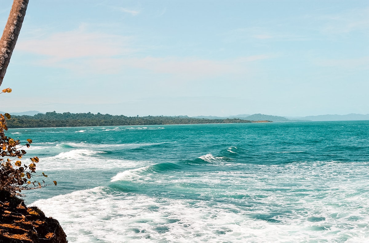 Manzanillo and Puerto Viejo, Costa Rica 8 Exploring Manzanillo and Puerto Viejo In Costa Rica | Travel Central America | Caribbean | Hike | Hiking | Ocean | Rainforest | Backpacking Costa Rica | Beautiful beaches | What to do | Where to sleep | wildlife | party | Backpackers Wanderlust |