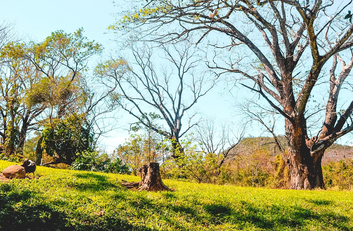 Exploring Ricon De La Vieja, Costa Rica 9 Exploring Ricon De La Vieja In Costa Rica | Travel Central America | Guanacaste | Hike | Hiking | Volcano | Rainforest | Backpacking Costa Rica | Mud bath | What to do | Where to sleep | Horse riding | Tubing | Backpackers Wanderlust |
