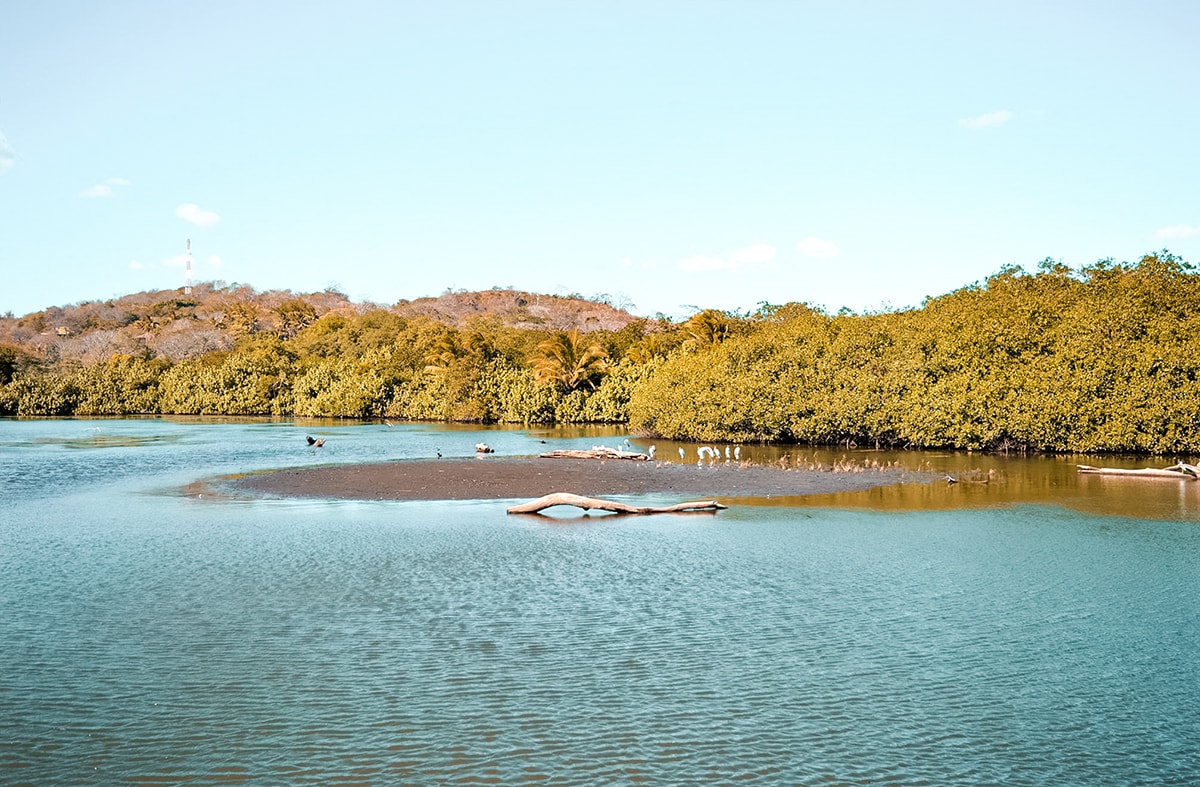 Arriving on Volunteer Project at Ostional, Costa Rica 1 Ostional, Costa Rica | Volunteer work | Conservation | Animals | Turtles | Costa Rica | Guanacaste | Ostional | International Student Volunteers | ISV | Why should I pay | Volunteer Abroad | What to do | Backpacking | Budget Travel | Solo Female Travel | Backpackers Wanderlust |