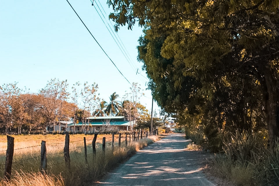 First Week Volunteering Completed- Ostional, Costa Rica 4 Ostional, Costa Rica | Volunteer work | Conservation | Animals | Turtles | Costa Rica | Guanacaste | Ostional | International Student Volunteers | ISV | Why should I pay | Volunteer Abroad | What to do | Backpacking | Budget Travel | Solo Female Travel | Backpackers Wanderlust |