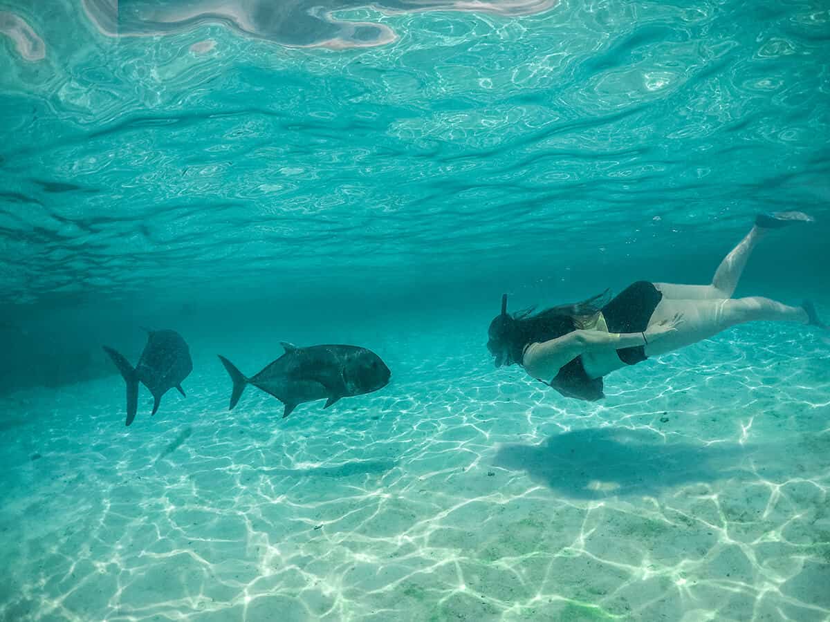 Aitutaki Day Tour From Rarotonga: Air Rarotonga Review 22 swimming with trevally on the aitutaki day tour