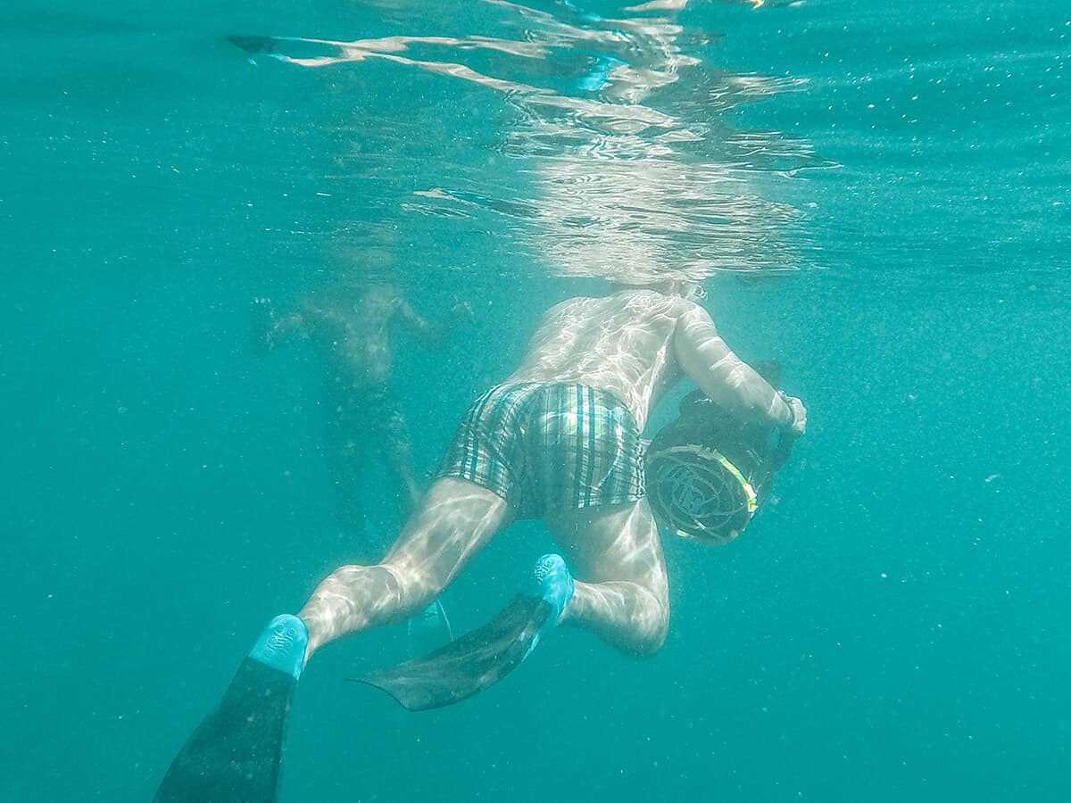 Swim With Sea Turtles In Rarotonga: Ariki Adventures 7 swimming with a sea scooter