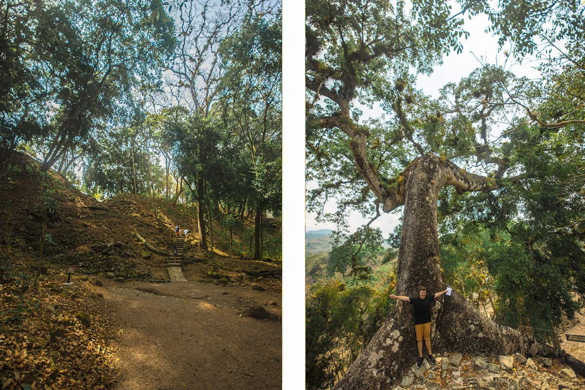 Backpacking Copan Ruinas & Hostels In Copan Ruinas For Travelers 11 impressed by the grandeur of the ruins in copan ruinas