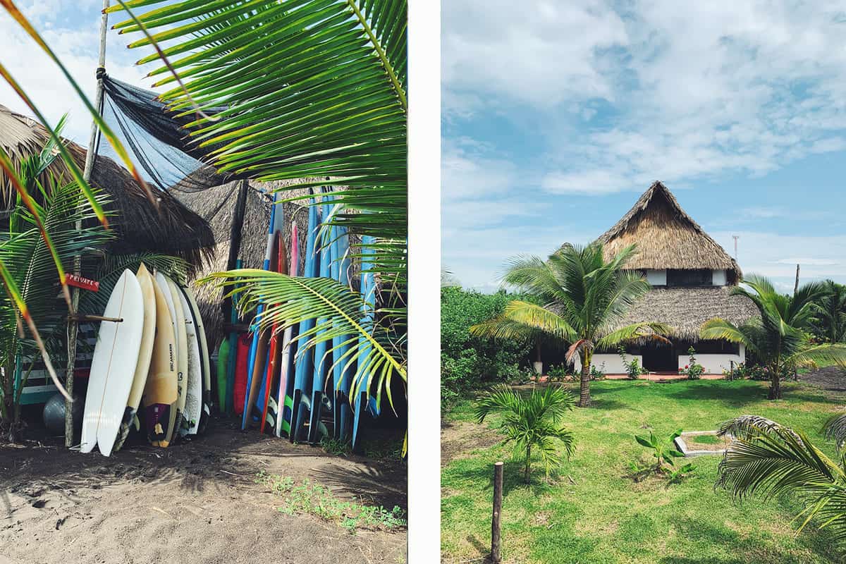 El Paredon For Budget Travelers: Is It Worth Visiting? 9 surfboard lined up ready to be rented // typical style of hotels and hostels here in el paredon