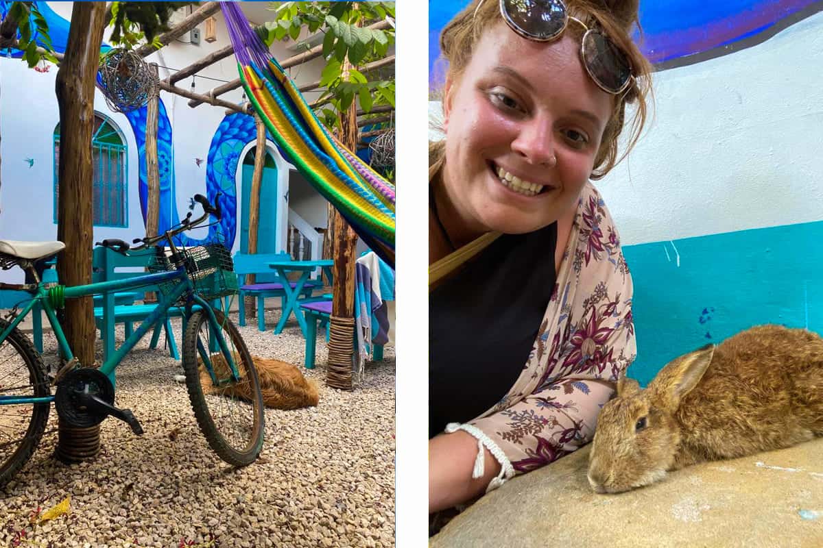 Backpacking Guatemala: The Ultimate Budget Guide 2025 12 hanging out with some of the animals at my hostel in flores in guatemala