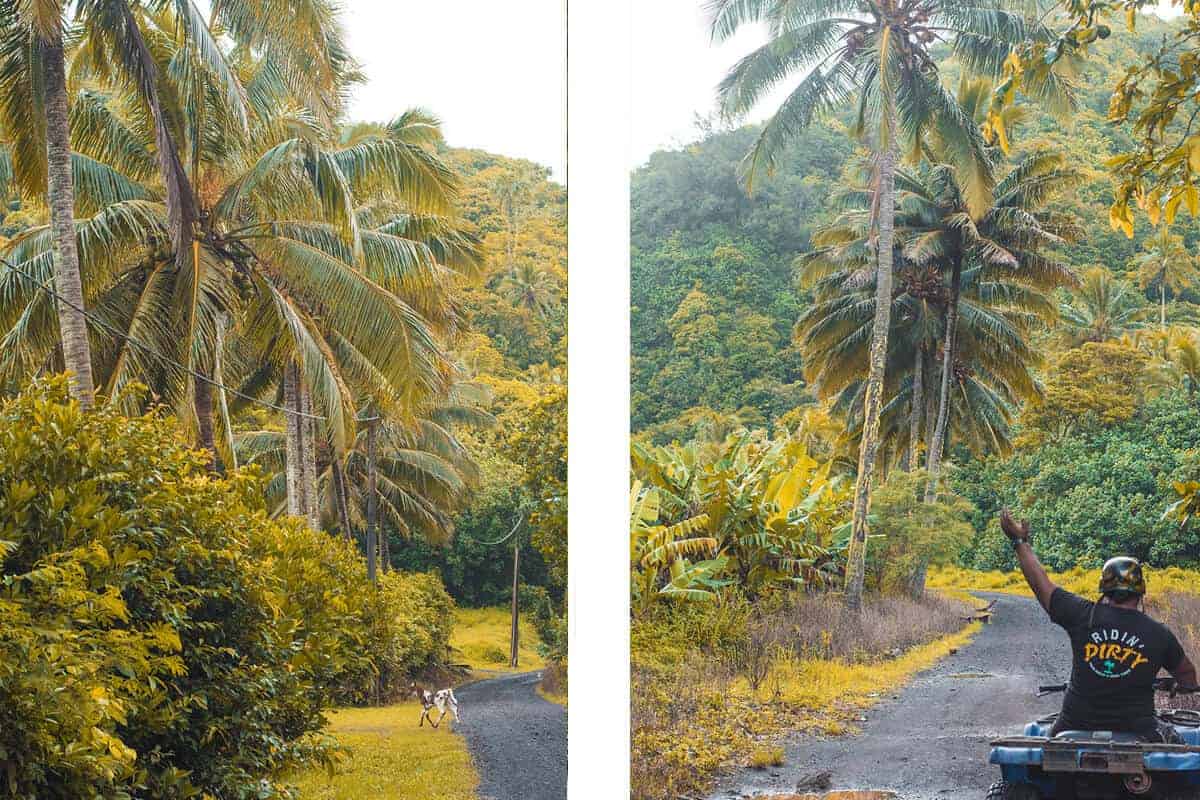 Backpacking Rarotonga On A Budget: Top Travel Tips 26 quad biking around rarotonga with raro quad tours