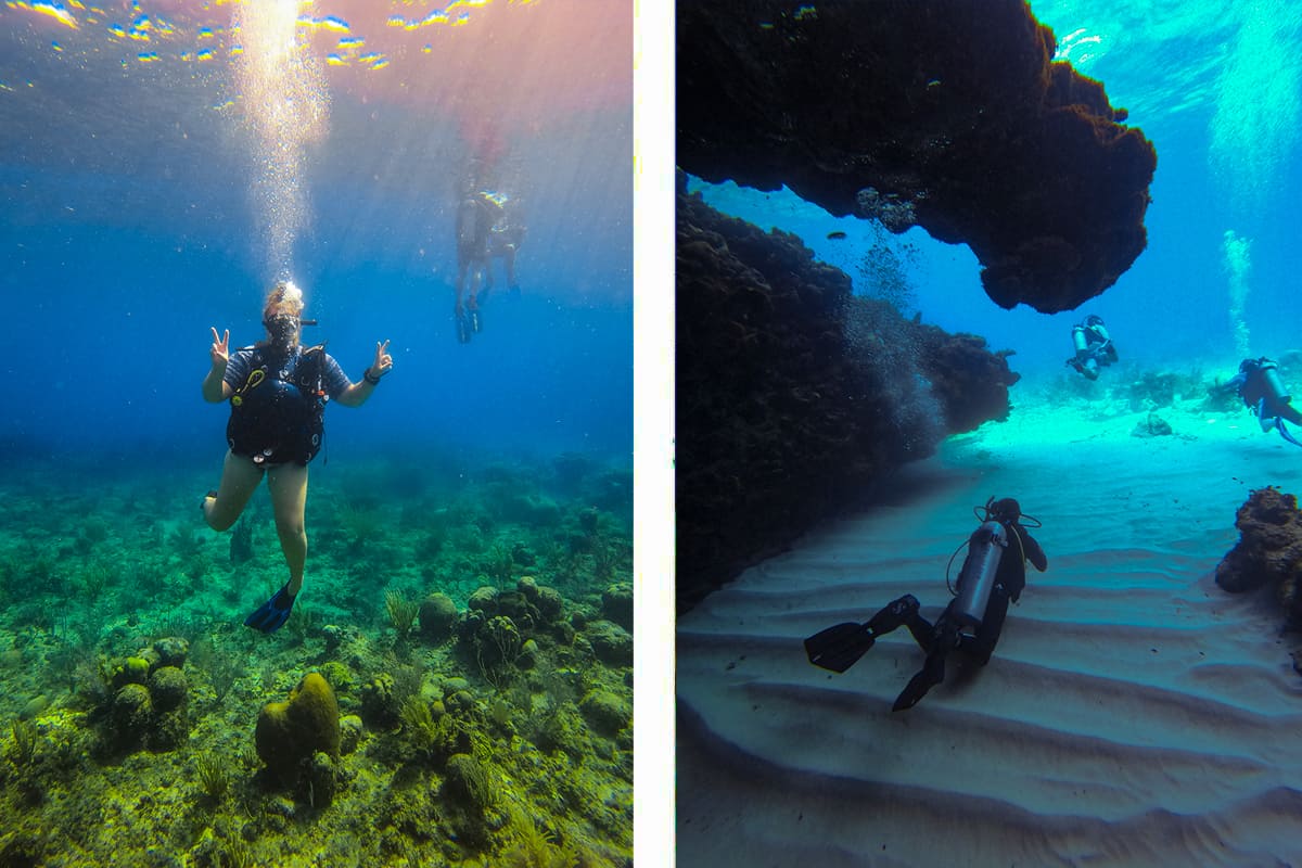 Backpacking Roatan & BEST Hostels In Roatan (2025) 8 exploring the beautiful reef and waters around roatan by doing our padi open water