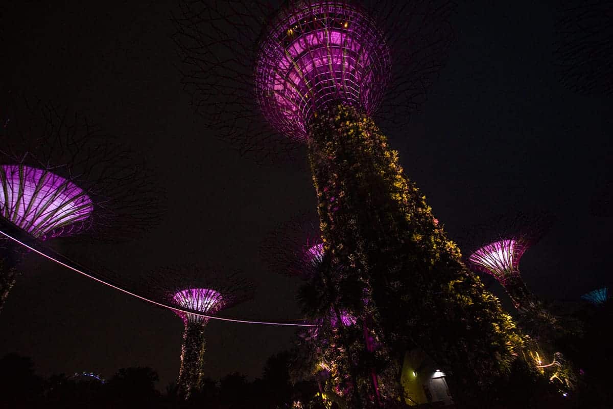 backpacking singapore on a budget