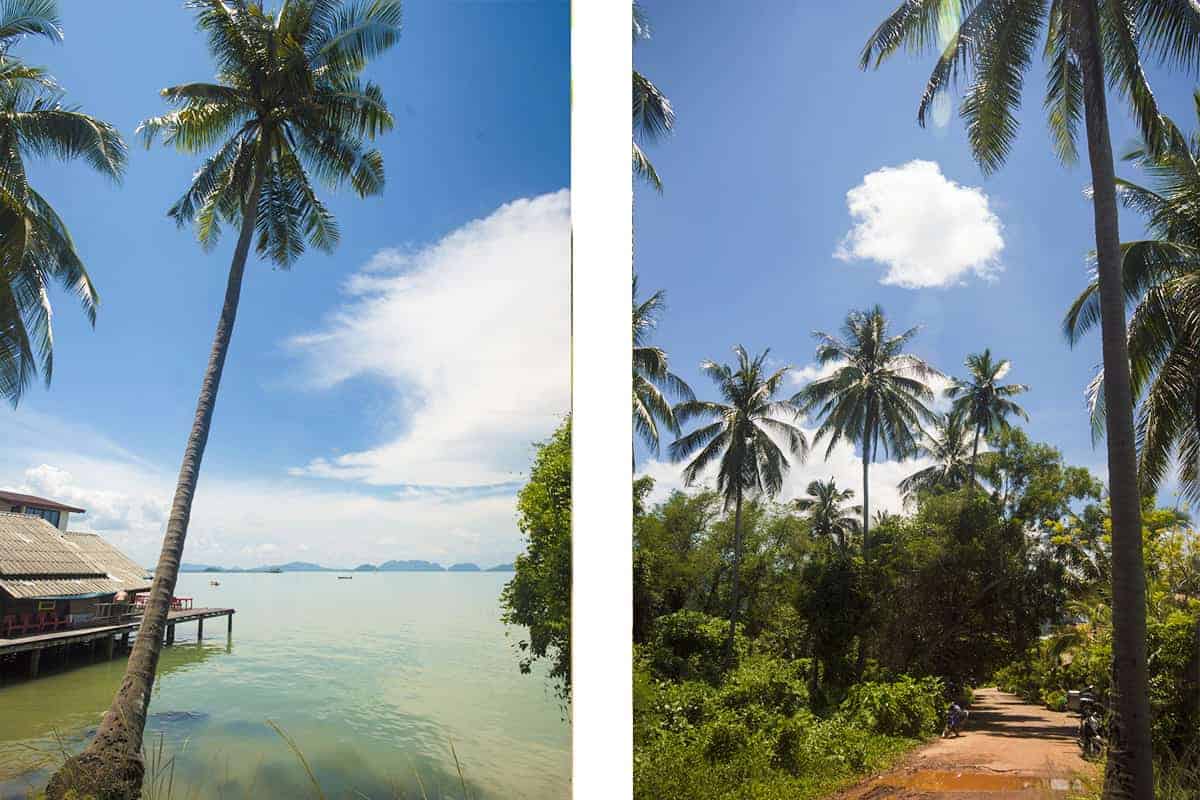 Backpacking Thailand On A Budget: What Travelers Should Know 10 beautiful sunny palm tree days in thailand