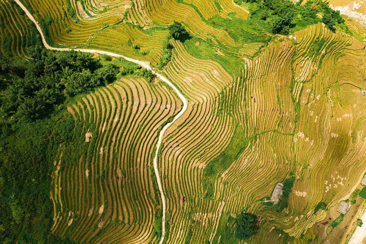 Backpacking Vietnam: Travel Guide & Tips For First Time Visitors 2025 16 flying over the sapa rice terraces