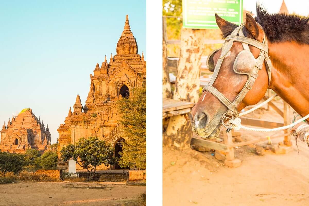 How To Explore The Temples In Bagan, Myanmar 5 horse rides in bagan