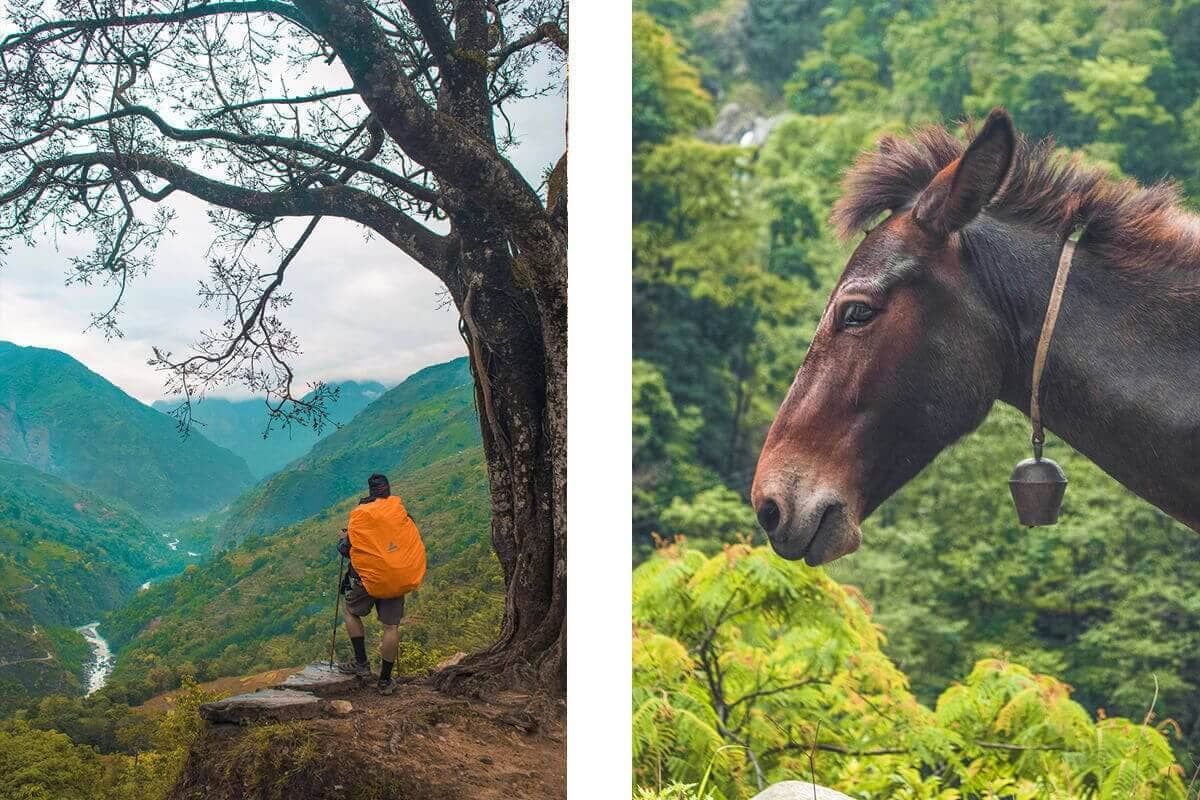 Day 2: Bahundanda To Tal On The Annapurna Circuit 6 horse on trail from bahundanda to tal