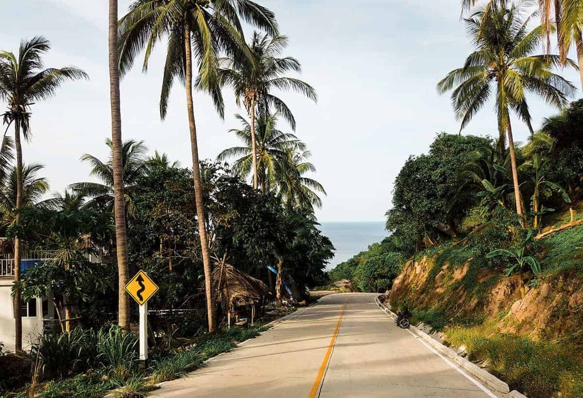 roads in bangkok to koh tao with palm trees