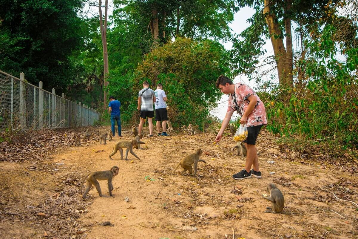 First Time In Southeast Asia? Group Tour VS Solo Travel 3 feeding monkeys in xe champhone group tour vs solo travel in southeast asia