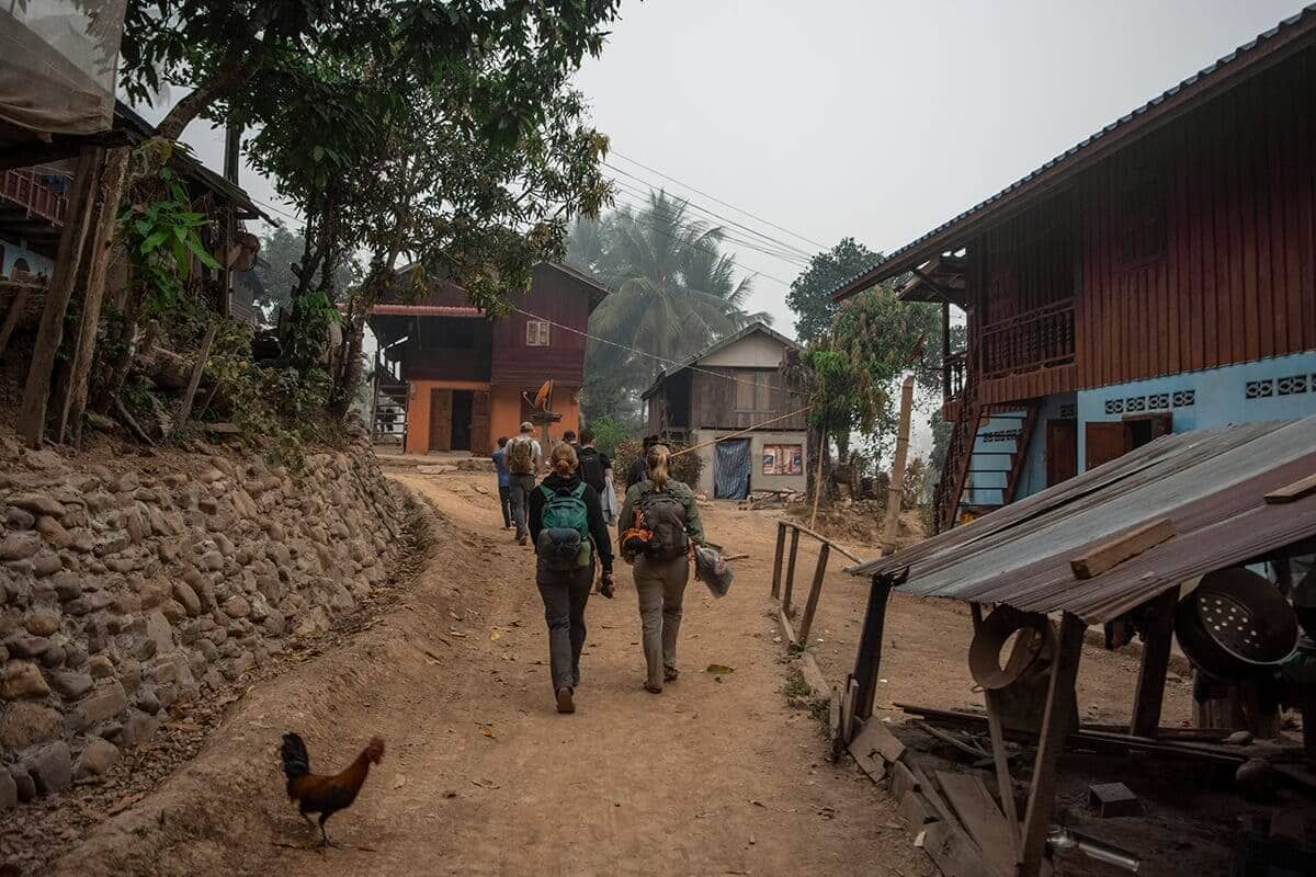First Time In Southeast Asia? Group Tour VS Solo Travel 11 walking through small laos village in fog with stray asia