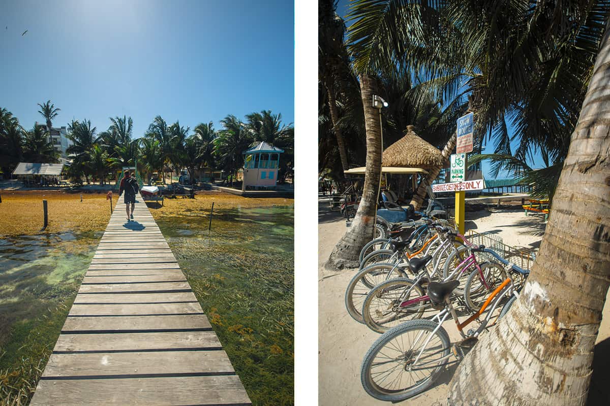 Hostels In Caye Caulker: BEST Stays For Backpackers 11 walking down one of the piers in caye caulker // bicycles lined up along the street, one of the best ways to get around