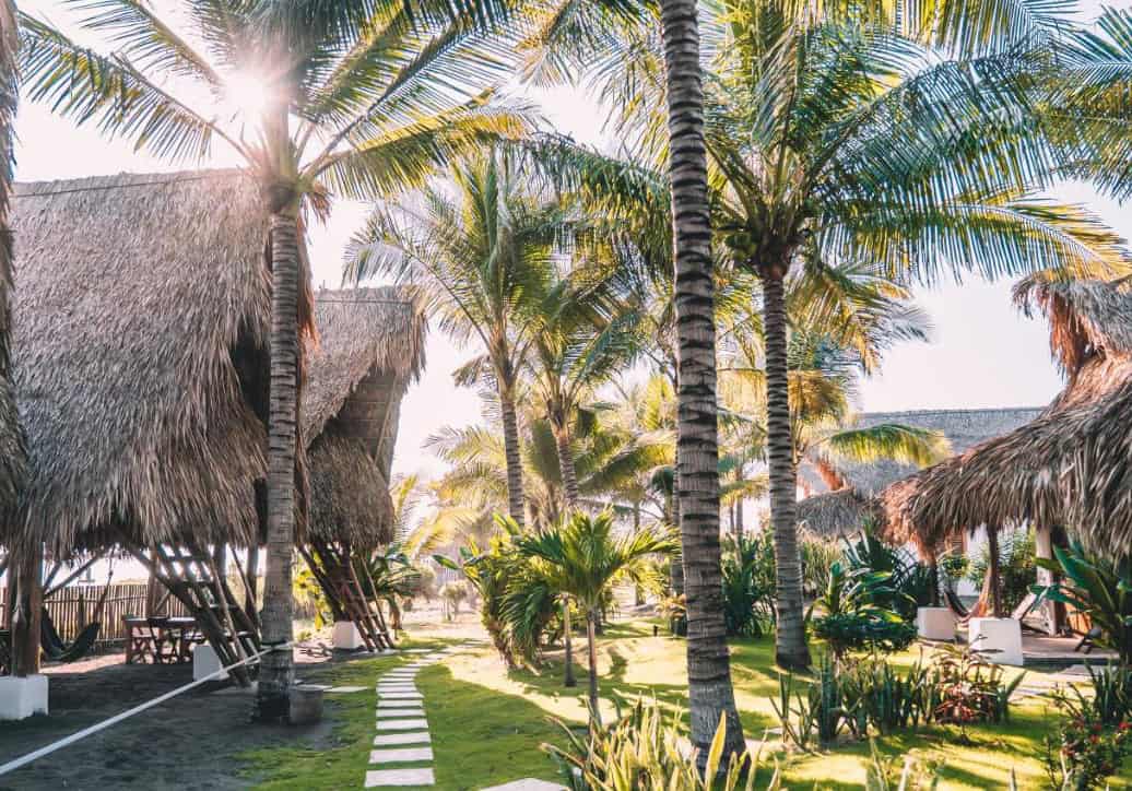 Best Hostels In El Paredon: 8 Hostels For The Perfect Stay 2025 21 the beautiful grounds at paredon surf house