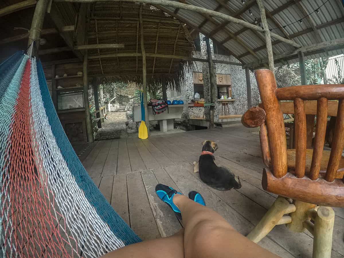 Best Hostels In La Ceiba For Budget Backpackers 2025 18 hanging out in the communal area at jungle river lodge in la ceiba with the hostel dog