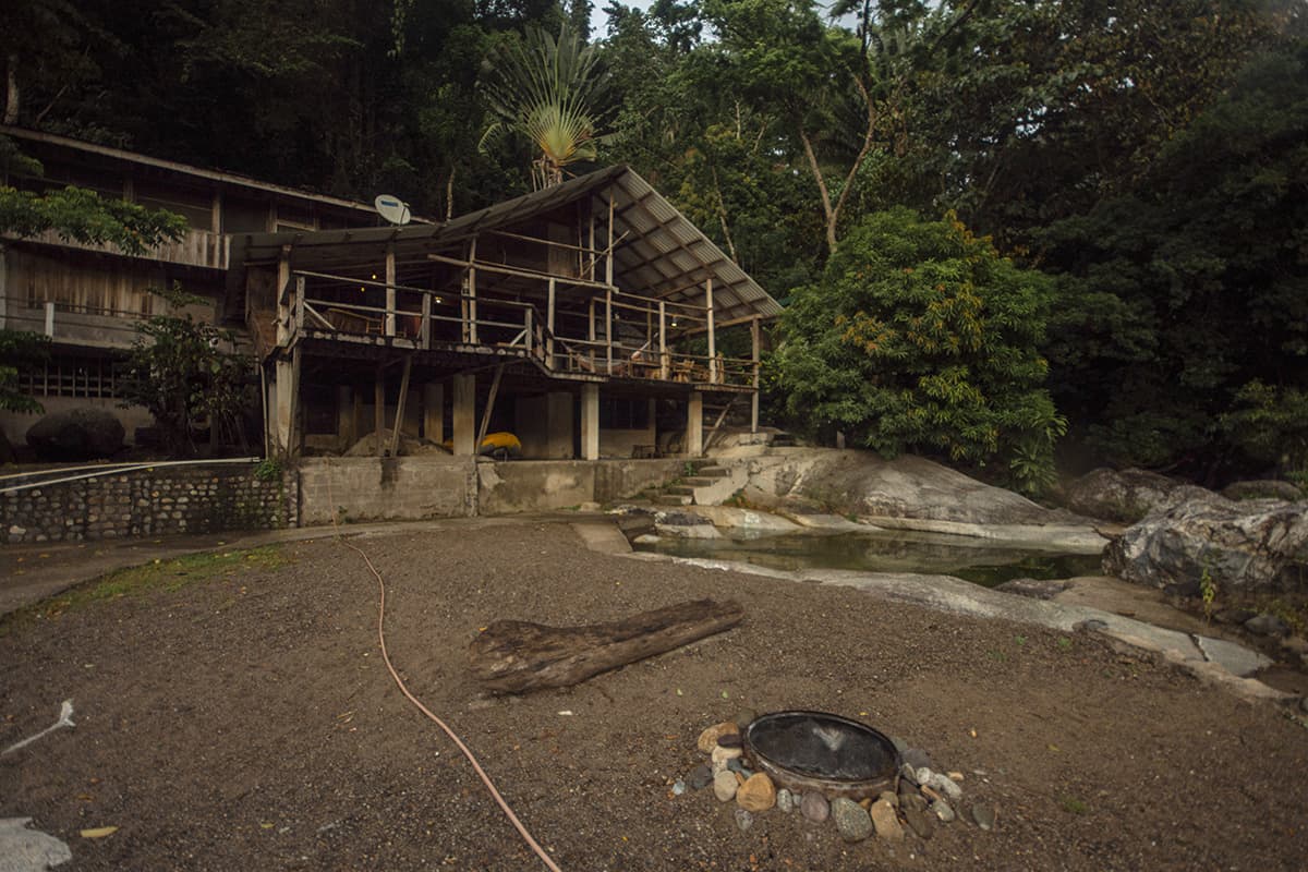 Best Hostels In La Ceiba For Budget Backpackers 2025 1 our incredible accommodation right in the jungle, this is one of the best hostels in la ceiba