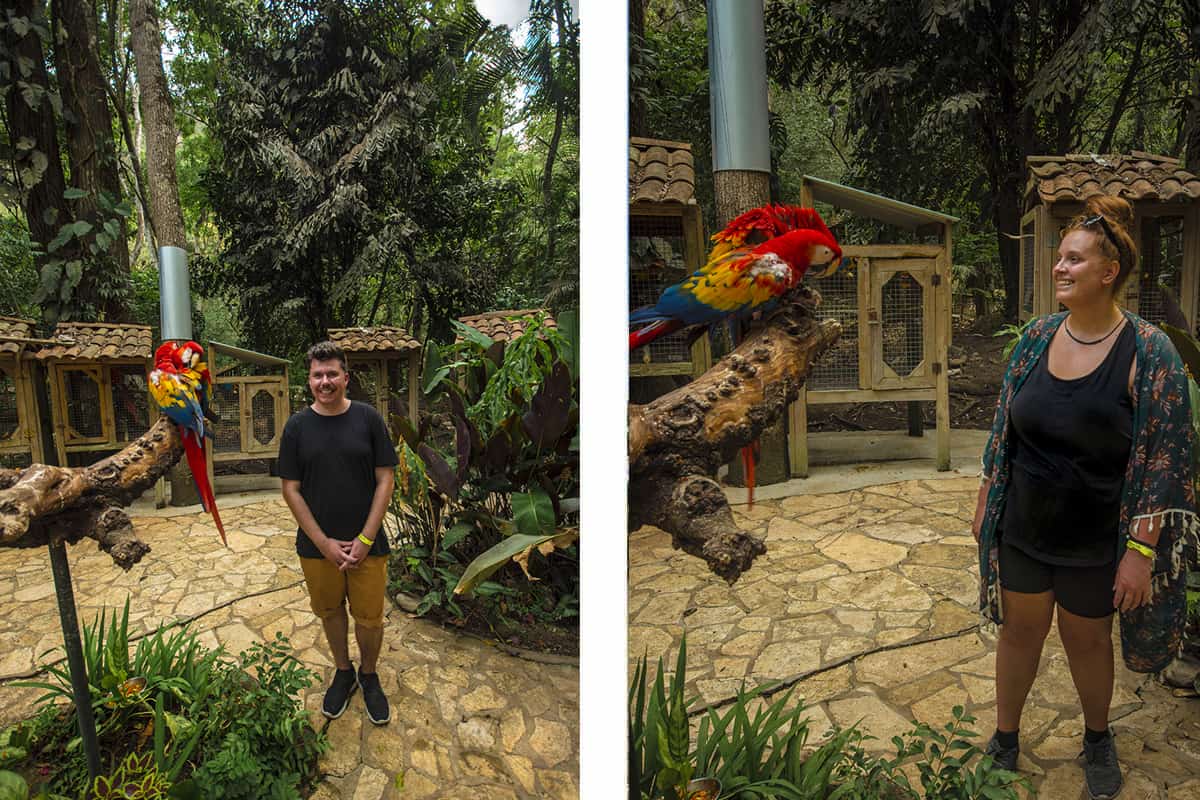 The 24 Best Things To Do In Copan Ruinas: From Ruins, Hot Springs, Food & More 17 checking out the macaws in the interactive area at macaw mountain