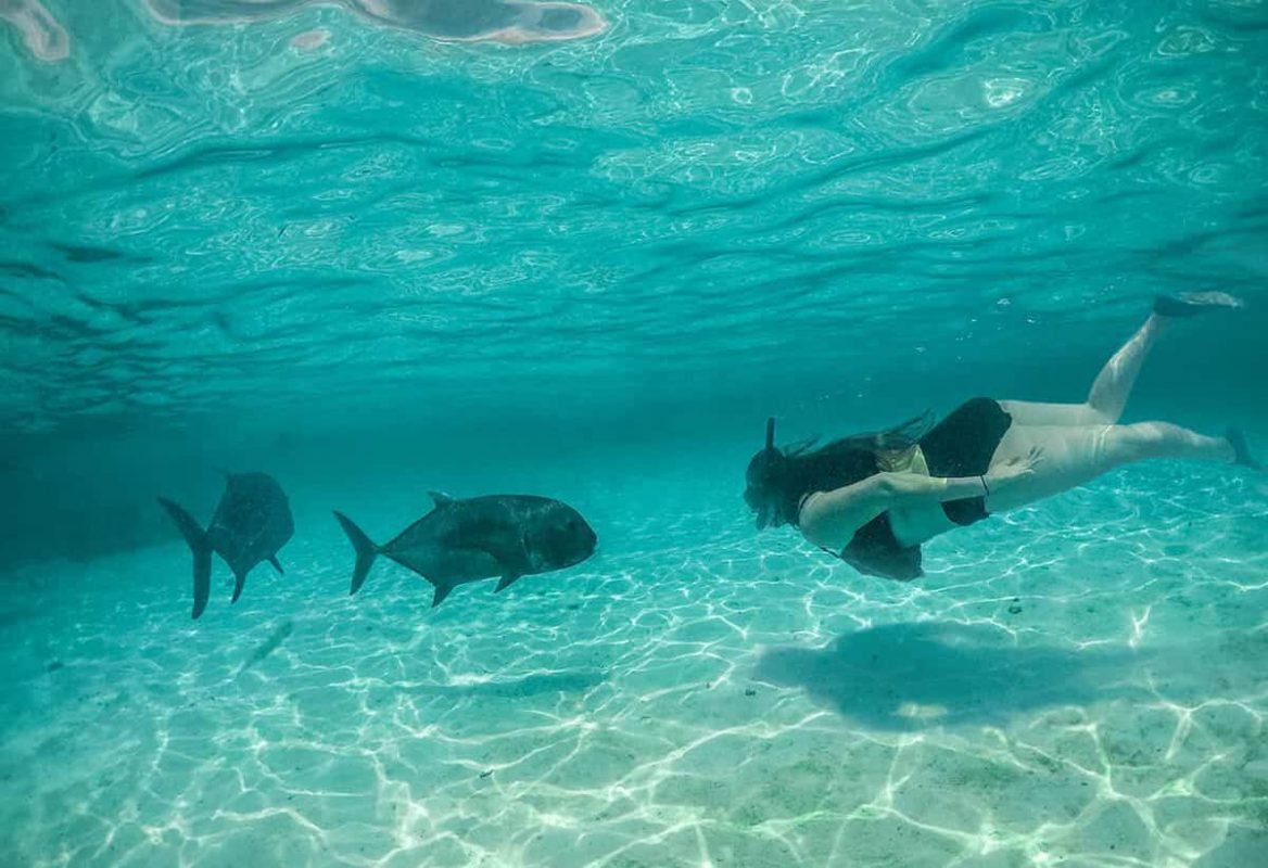 30 Best Things To Do In Rarotonga For The Ultimate Holiday 9 the best things to do in rarotonga