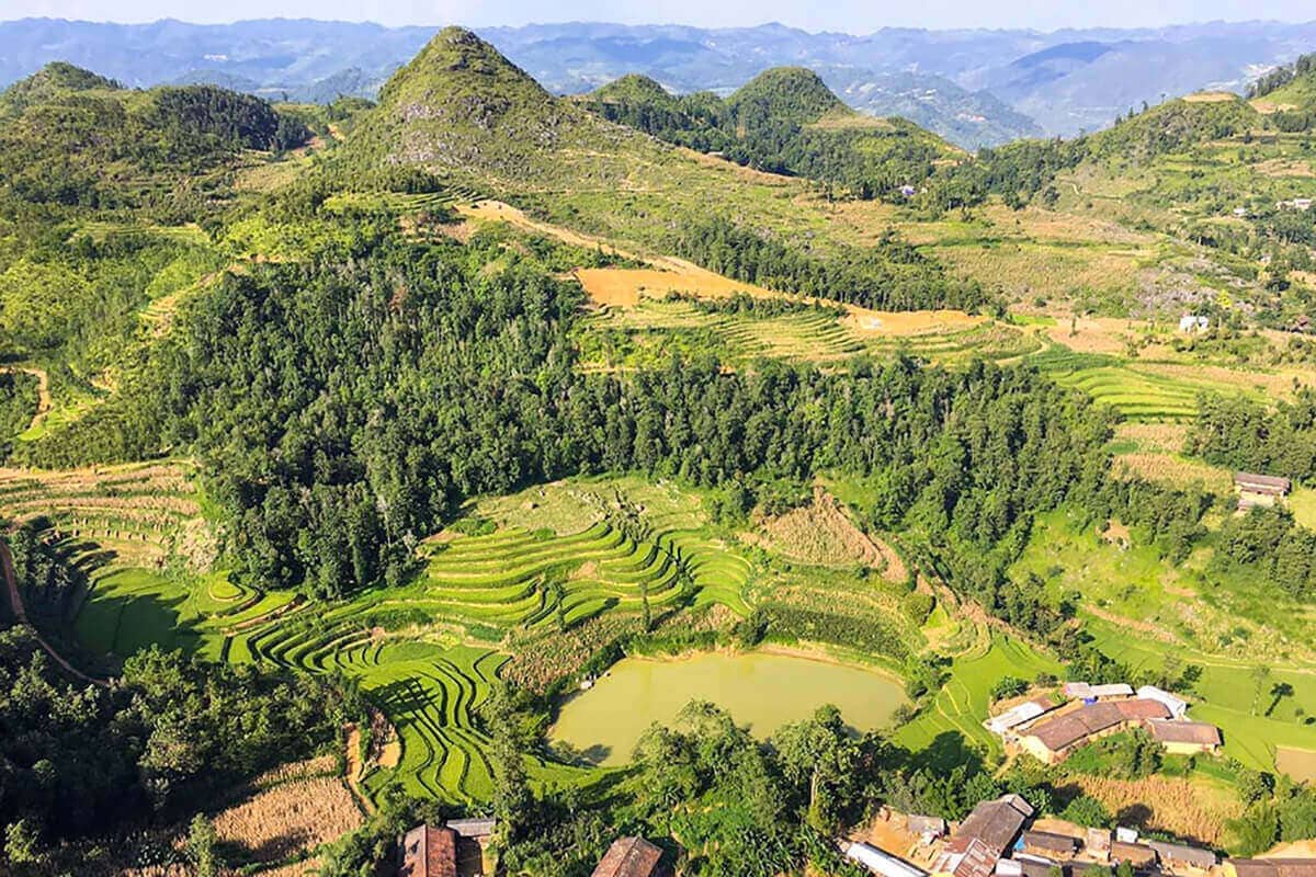 The Best Things To Do In Vietnam Recommended By REAL Travelers 10 rice terrace landscape while doing the motorbike loop in Ha Giang