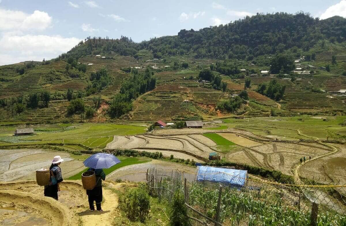The Best Things To Do In Vietnam Recommended By REAL Travelers 12 trekking in sapa over the rice terraces