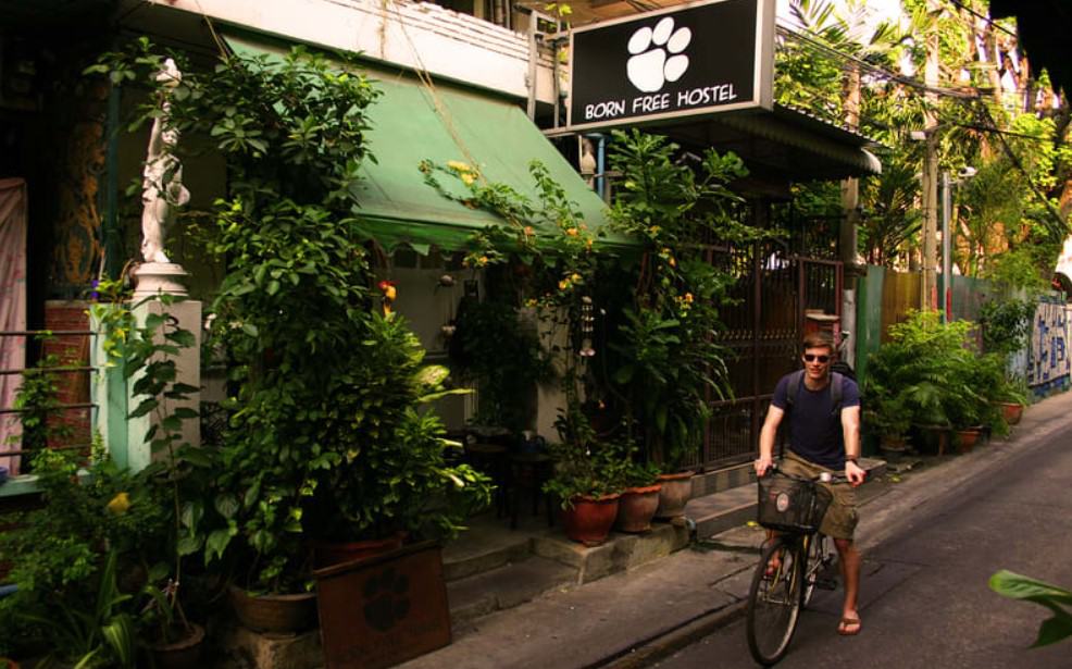 17 BEST Hostels On Khao San Road For Travelers! (2025) 14 a green street view of born free hostel near khao san road
