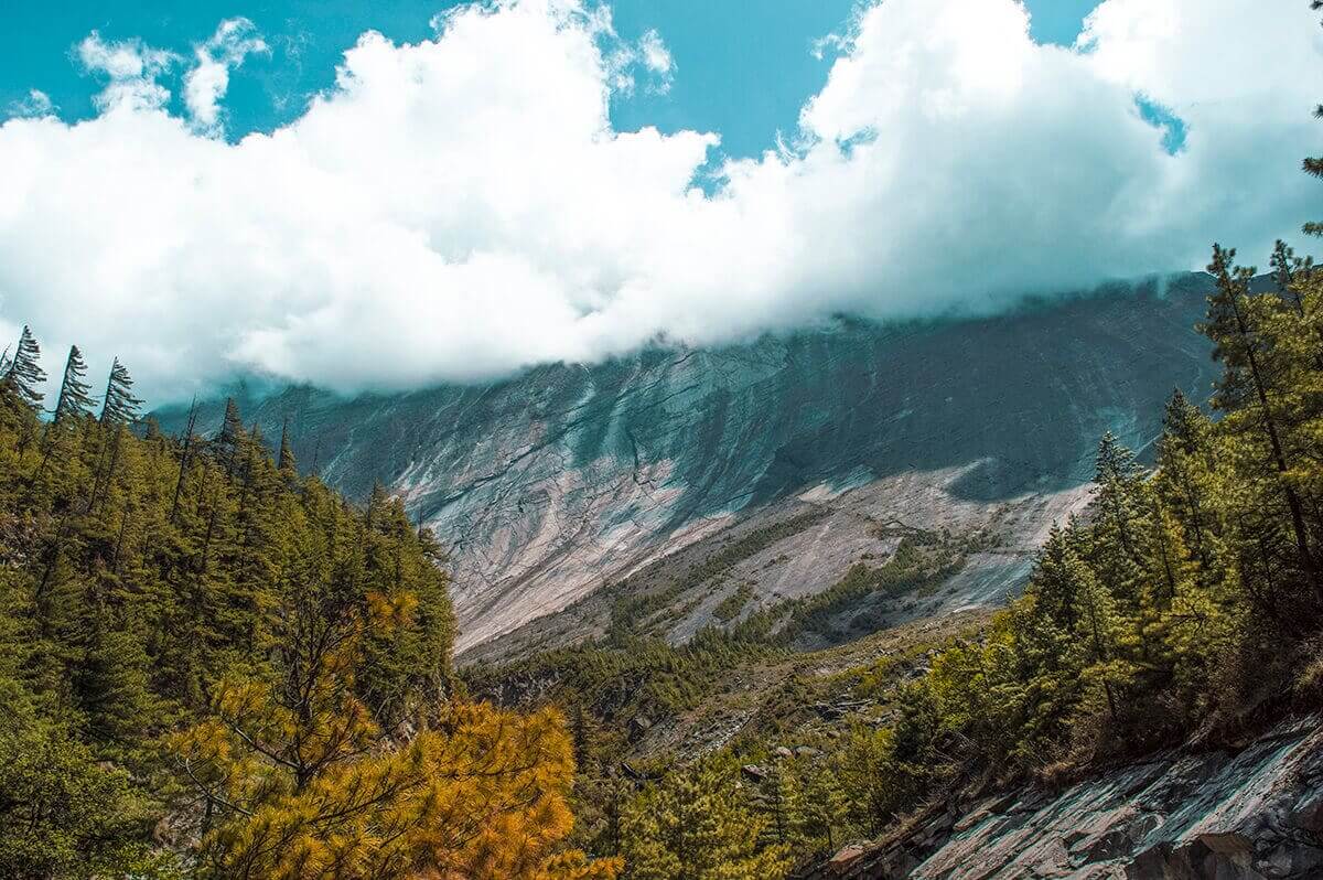 Day 5: Chame To Upper Pisang On The Annapurna Circuit 14 swargadwari through trees chame to upper pisang annapurna circuit