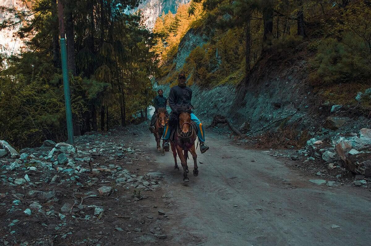 Day 5: Chame To Upper Pisang On The Annapurna Circuit 9 horses chame to upper pisang annapurna circuit