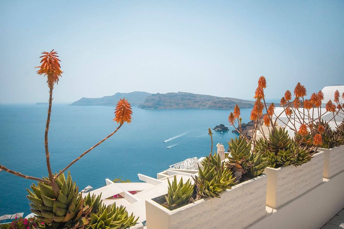 The Cost To Travel Greece And How Expensive Is It? 11 orange flowers in santorini cost to travel greece