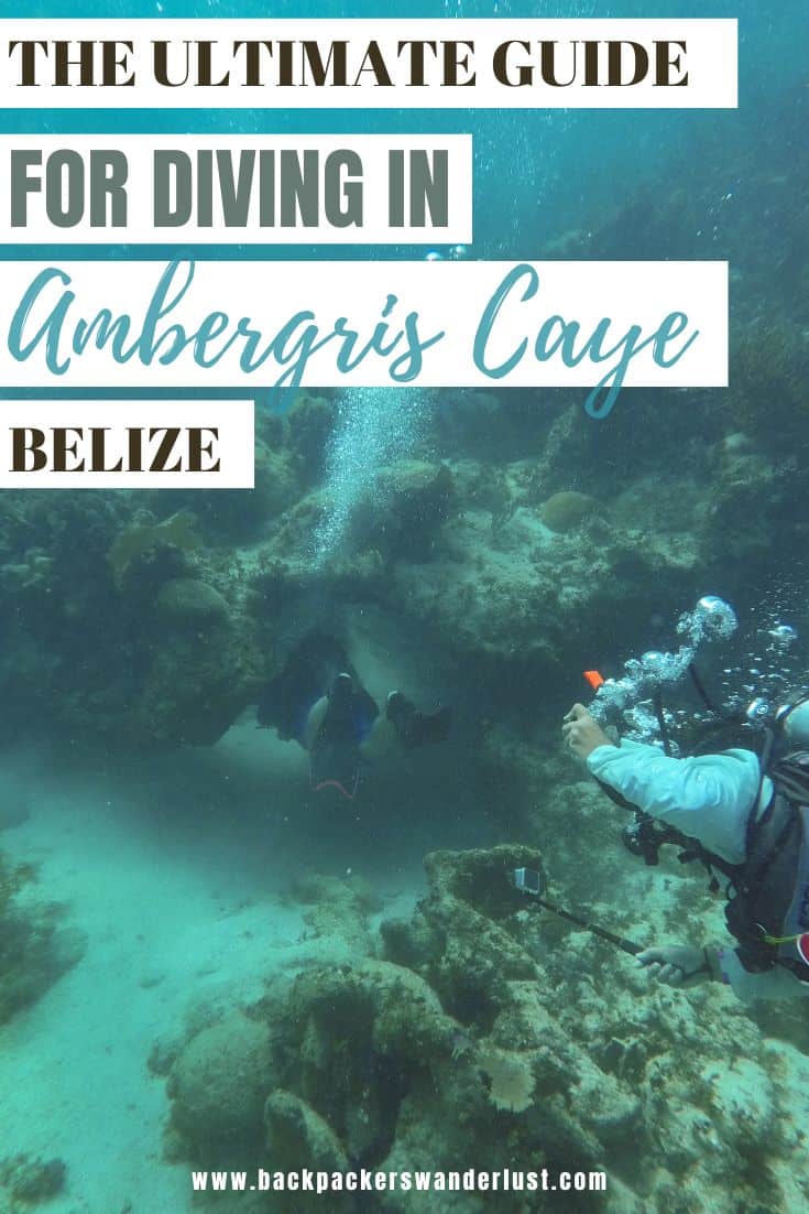 Diving In Ambergris Caye: Is It Worth It & Best Tips 2025 27 If you are a keen scuba diver and are traveling Belize then you need to try diving in Ambergris Caye. This incredible spot on the Mesoamerican Reef is full of marine life waiting to be discovered by you!