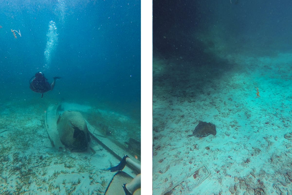 Diving In Ambergris Caye: Is It Worth It & Best Tips 2025 18 checking out a small shipwreck at tuffy cut with the southern stingrays which call it home