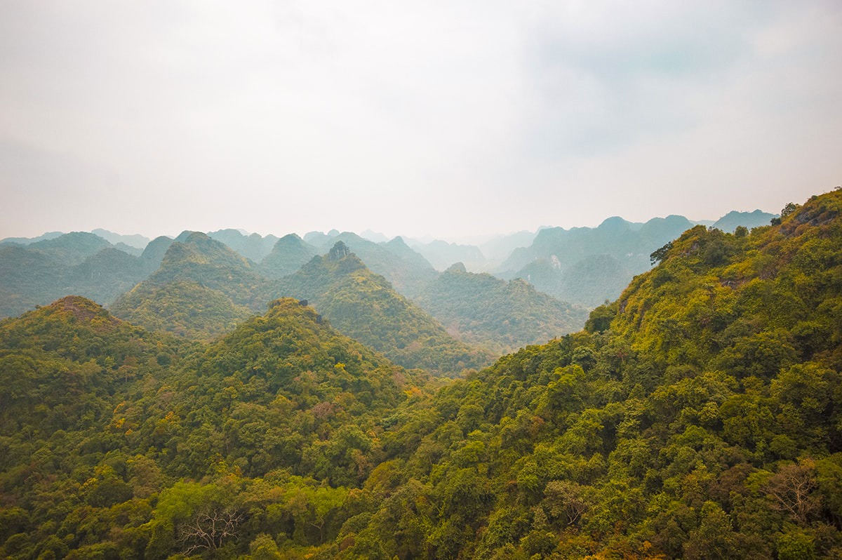 Discovering Lan Ha Bay and Cat Ba Island, Vietnam 18 Discover Lan Ha Bay | Cheap Ha Long Bay Cruise | Cat Ba Island | Adventure | Backpack South East Asia | Travel | Backpacking | Must Visit | Do Not Miss | Vietnam | Ha Long Bay Cruise | Cat Ba Island | Cat Ong Island | Ocean Tours | Adventure | Photography | Backpackers Wanderlust | #vietnam #halongbay #cocktailcruise #hanoi #budgetcruisehalongbay #backpacksoutheastasia #catbaisland #catongisland