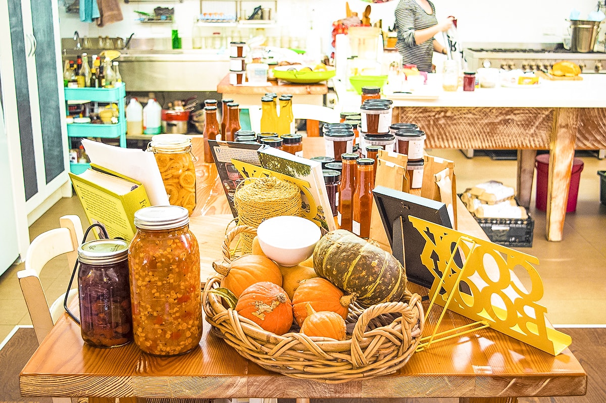 Mornington Peninsula, Victoria – A Day Trip From Melbourne 4 A Day Trip To The Mornington Peninsula From Melbourne, Australia | Animal Sanctuary | Mt Martha Beach | Melbourne Beach | Beautiful photos | travel blog | Day Trip from Melbourne | Australia Day trips | Australia beaches | Koala | Backpackers Wanderlust |