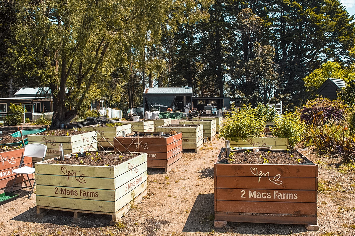 Mornington Peninsula, Victoria – A Day Trip From Melbourne 5 DSC 0381 min