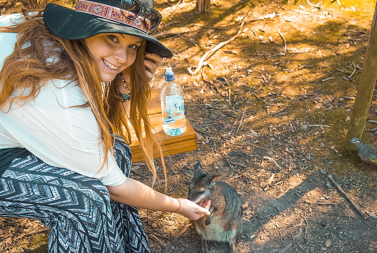 11 Countries, 2 Continents & 50+ Cities- My 2017 Travel Year In Review 1 A Day Trip To The Mornington Peninsula From Melbourne, Australia | Animal Sanctuary | Mt Martha Beach | Melbourne Beach | Beautiful photos | travel blog | Day Trip from Melbourne | Australia Day trips | Australia beaches | Koala | Backpackers Wanderlust |